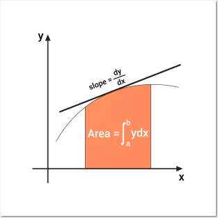 slope of the curve and integral area Posters and Art